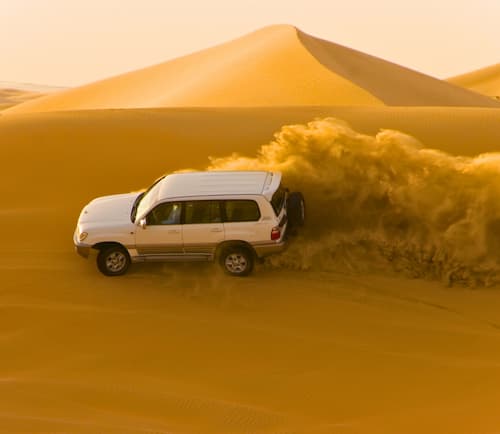 VIP DESERT SAFARI S - OPT