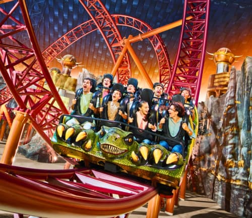 img world image icon 2-OPT